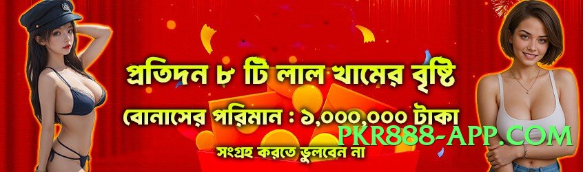 PunjabWin Diamond v3.1.0 Screenshot 4