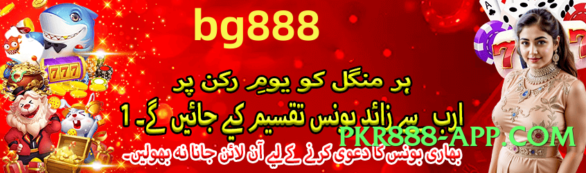 Mega pakspin Top v8.0.0 Screenshot 4