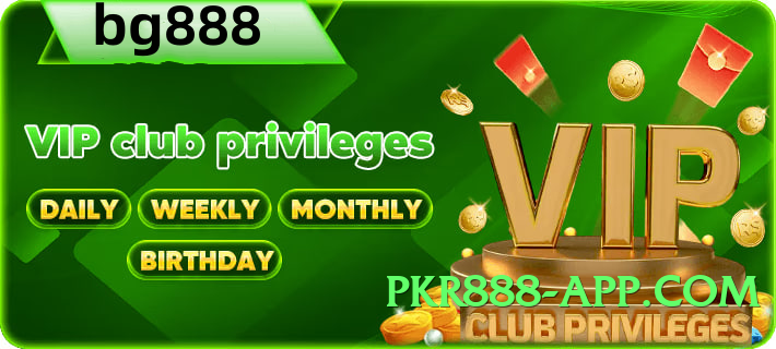 winpkr Mega v4.1.0 Screenshot 4