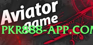 pk365 Pro v2.2.0 Screenshot 2